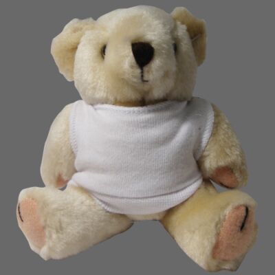 Soft Toy - 5" Promo Bear Thumbnail