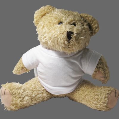 Soft Toy - Shaggy Bear Thumbnail